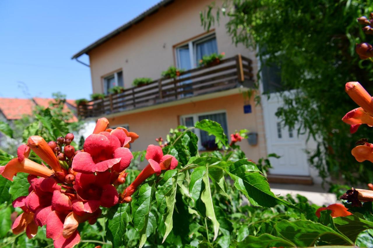 Apartman Dorijan Rakovica Exterior foto